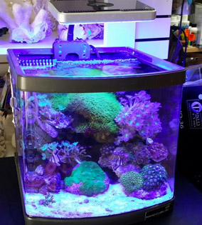 saltwater fish tank equipment